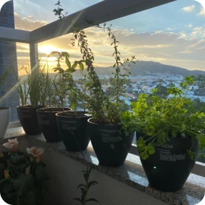 planta 1