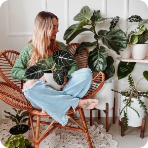 planta 2