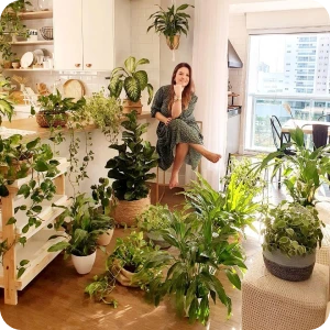 planta 3