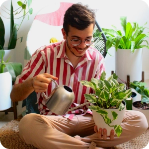 planta extra 1